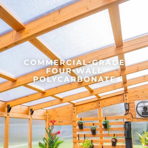 9×6 Willow Greenhouse - Image 8