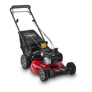 Toro 21 in. (53 cm) Recycler® Lawn Mower (21321)